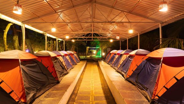 9b731107-d42c-4d35-8a04-0f8837b26f49