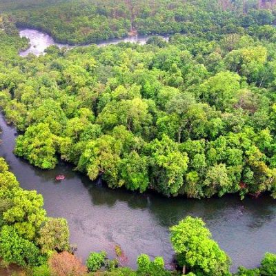 anshi-national-park-dandeli